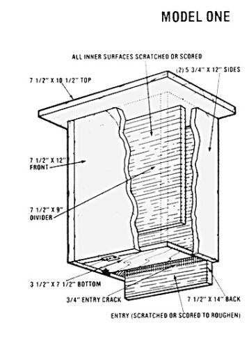 Build Bat Boxes